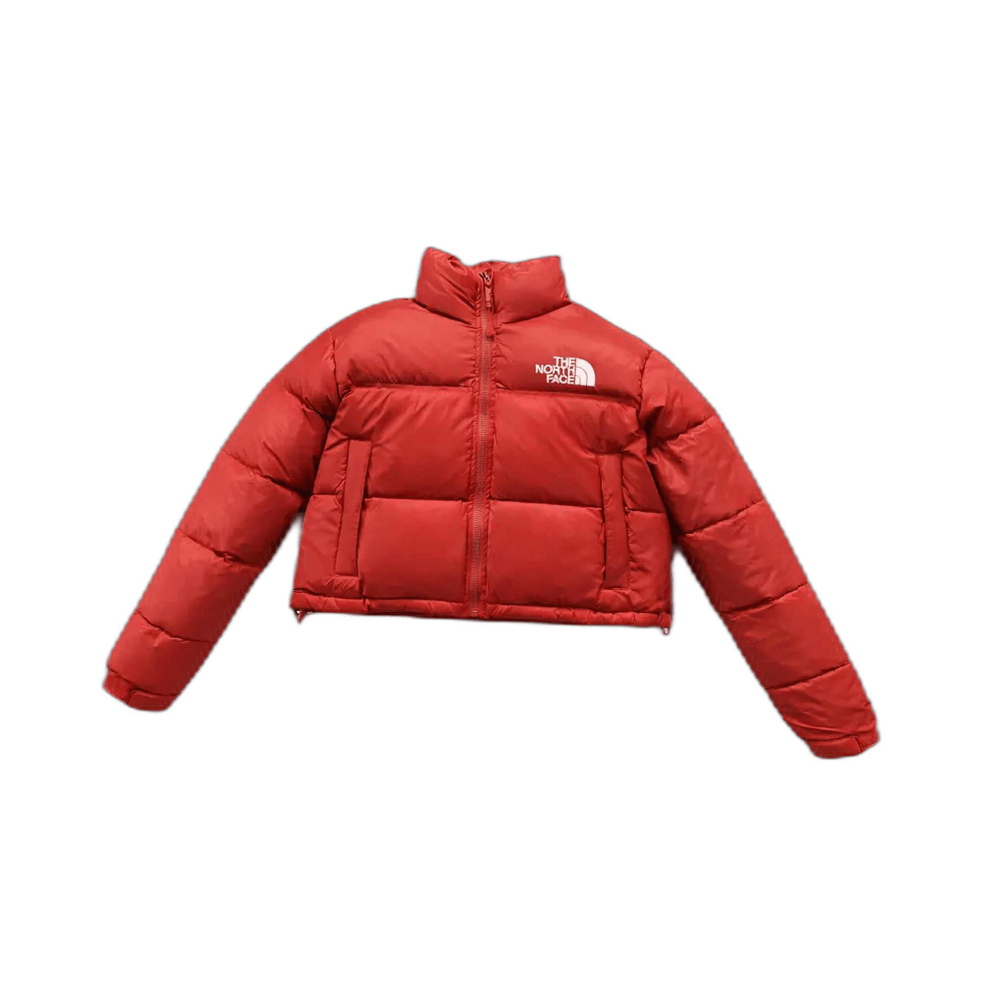 The North Face Jacket